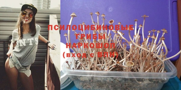 2c-b Медвежьегорск