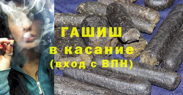 гидра Михайловка