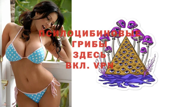 эйфоретик Алзамай
