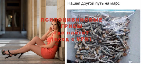 эйфоретик Алзамай
