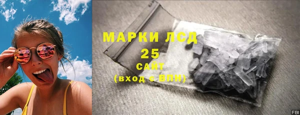 гидра Михайловка