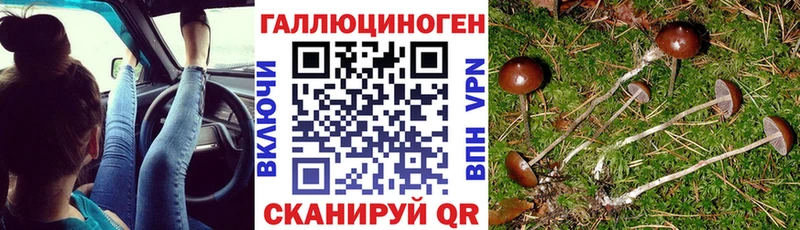 площадка официальный сайт  Апатиты  Галлюциногенные грибы Magic Shrooms  наркота 