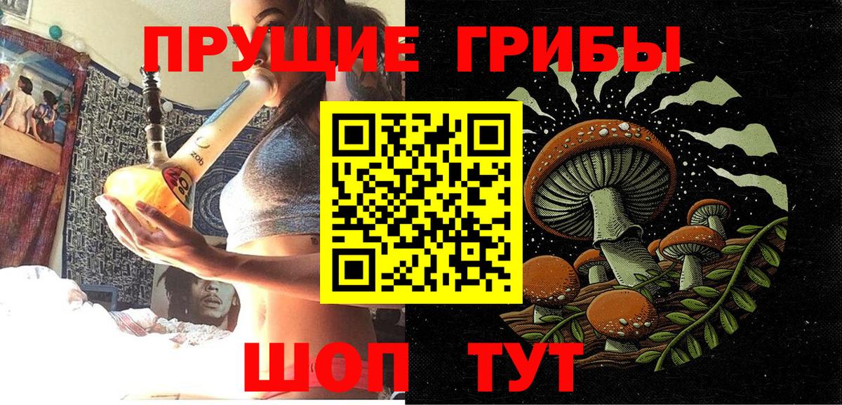 Галлюциногенные грибы ЛСД Апатиты